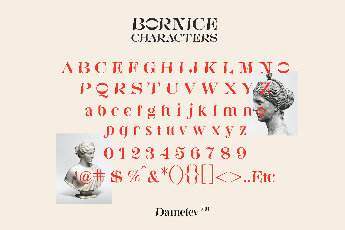 Bornice Modern Serif, a Serif Font by Damelev (Photo 13 of 13)