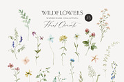 WILDFLOWERS delicate floral clipart, a Person Illustration by long summer (Thumbnail 8 of 12)