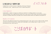 Irazhumi, a Serif Font by Burntilldead (Thumbnail 13 of 16)