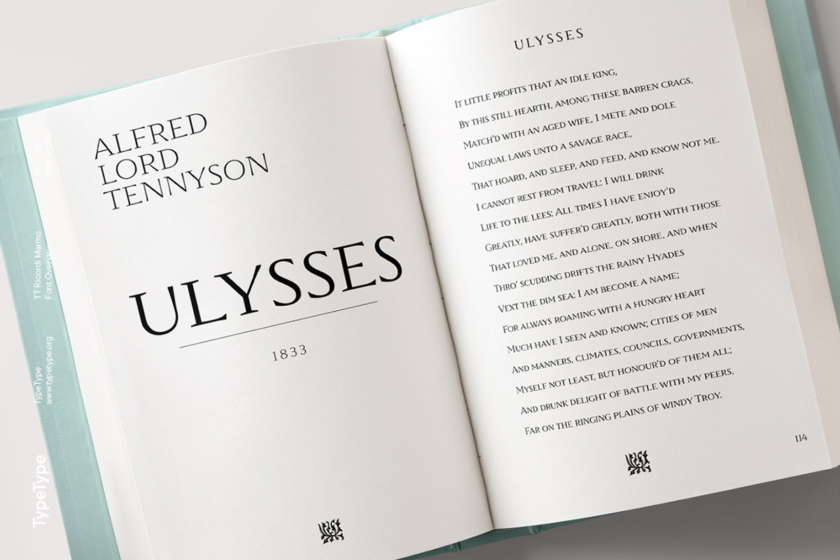 TT Ricordi Marmo, a Serif Font by TypeType (Photo 14 of 15)