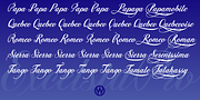 Excelsia Pro, a Script Font by Wiescher-Design (Thumbnail 9 of 11)