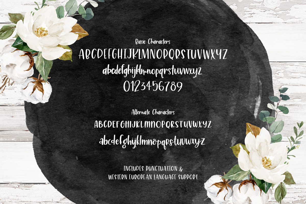 Rustic Market Sans Font, a Sans Serif Font by Beck McCormick (Photo 10 of 10)