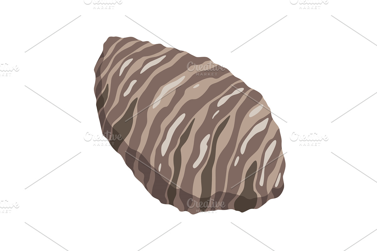 Oyster. Sea shell, cartoon, a Food Illustration by Things for designers