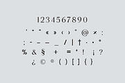 Astraroche Modern Serif Font, a Serif Font by UICreative (Thumbnail 9 of 13)