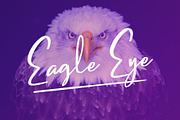 Letter Hellen Signature Dry Brush, a Script Font by Garisman Std (Thumbnail 3 of 10)