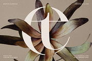 Archer Display - Ligature Serif Font, a Serif Font by SilverStag Type Foundry (Thumbnail 3 of 29)