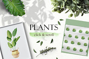 House plant watercolor collection, an Illustration by Color Hugs Art (Thumbnail 2 of 10)