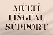 VOLUMA - Simple Elegant Display Font, a Serif Font by Pekotype (Thumbnail 5 of 11)