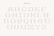 Wedding Calligraphy font family, a Serif Font by kaer_shop (Thumbnail 7 of 11)