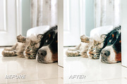 25 Bright Indoor Lightroom Presets, a Preset Add-On by TheWayfarerShoppe (Thumbnail 9 of 9)