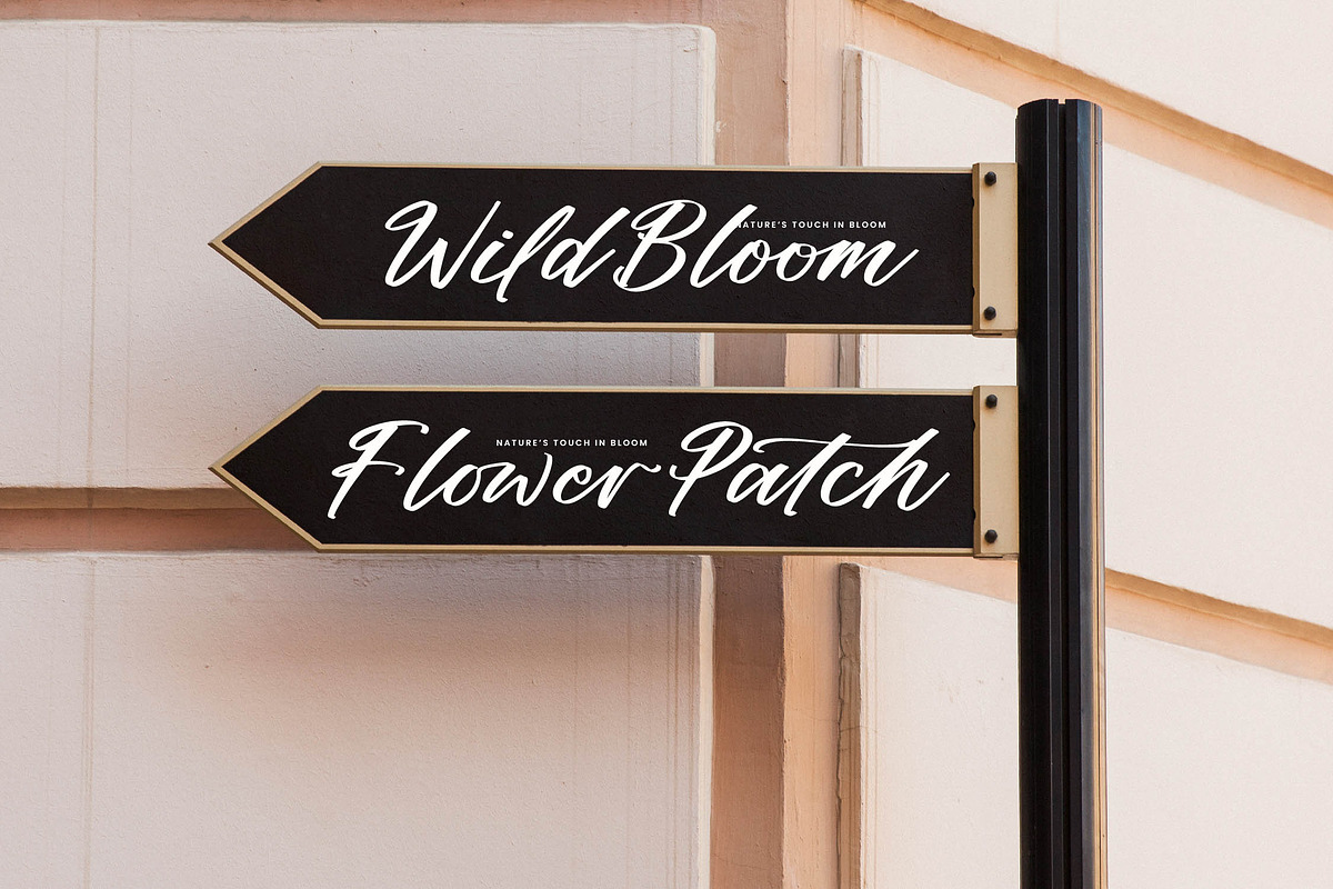 Althena Juliette Modern Elegant, a Script Font by stylishtype.co (Photo 2 of 20)