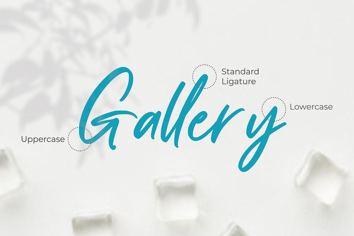 Hellmond, a Script Font by Ditatype (Photo 3 of 7)