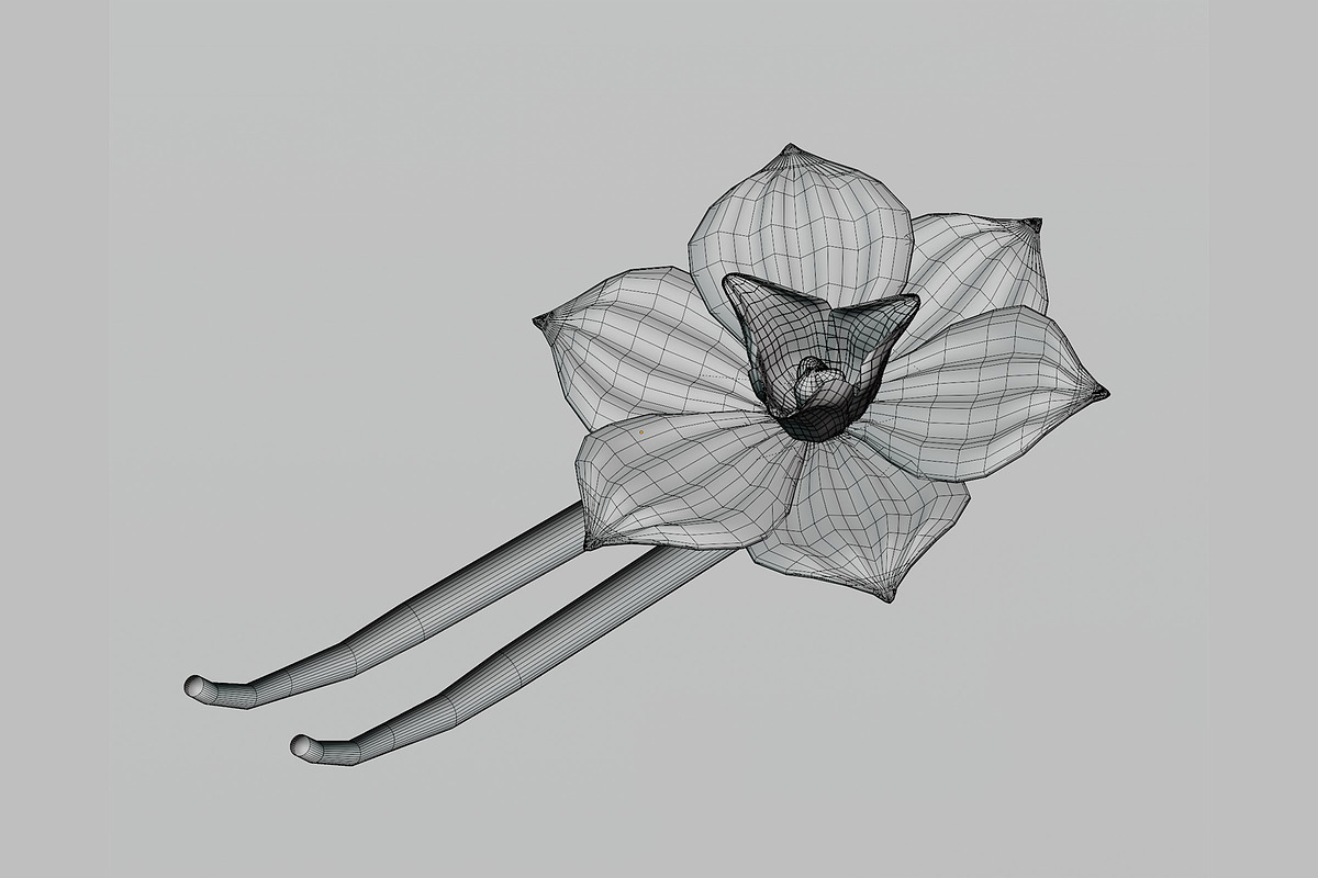 Vanilla flower, an Object 3D Model by fahad121 (Photo 5 of 5)