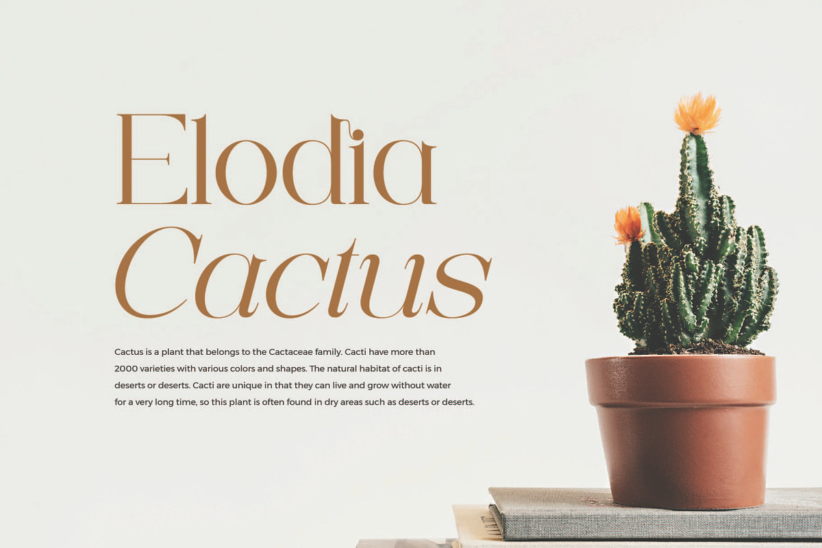 Magic Malika - Stylish Serif Font preview 8