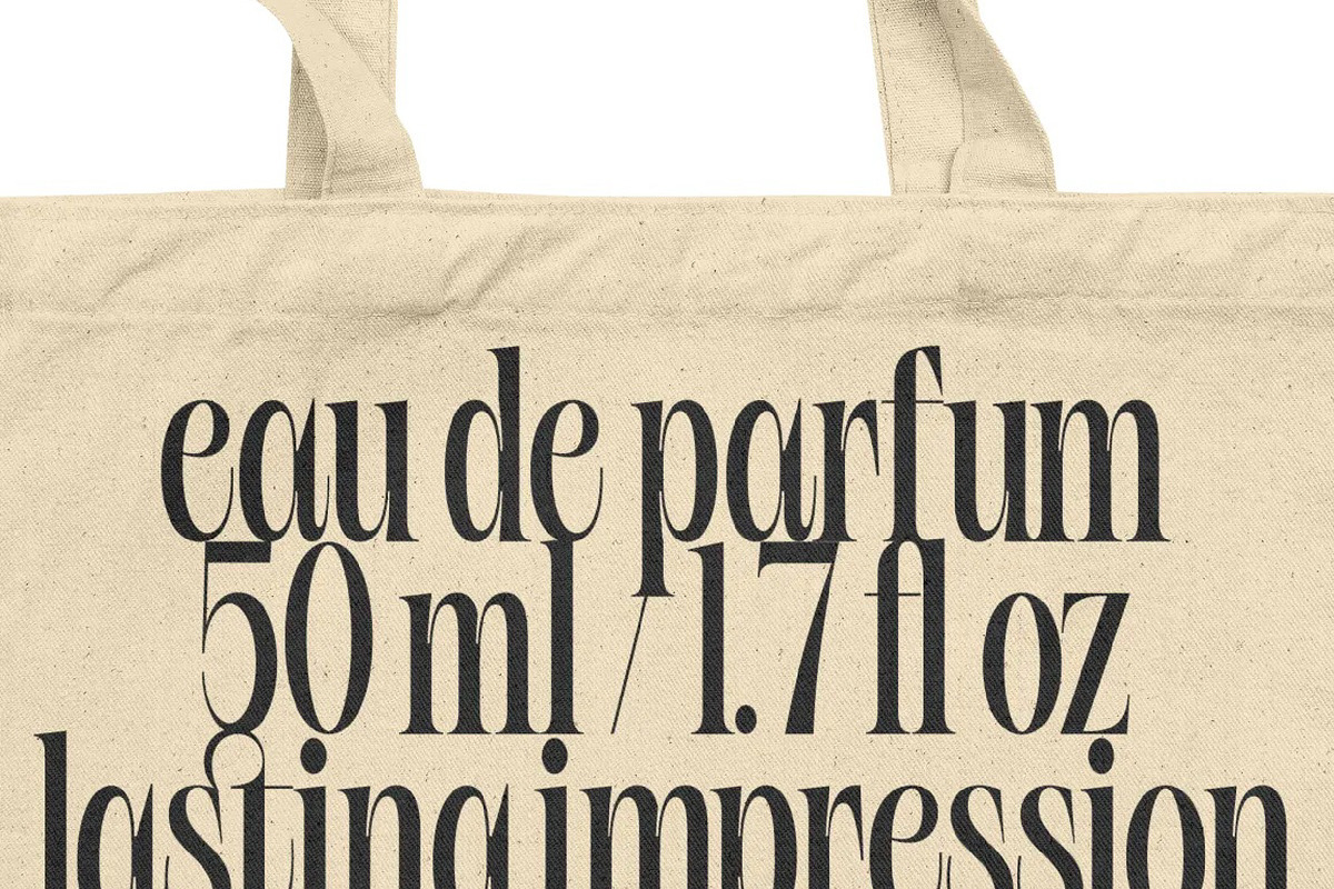 Bargckiss Contemporary Serif Display, a Serif Font by timelesstype.co (Photo 3 of 10)