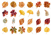 Watercolor Autumn Leaves Clipart, a Decorative Illustration by Nicolle's Colorful Art (Thumbnail 4 of 5)