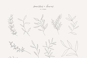 Hand Drawn Botanical Logo & Branding