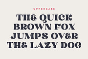 Mogesta | A Modern Display Serif, a Serif Font by Andrimada Creative (Thumbnail 6 of 15)