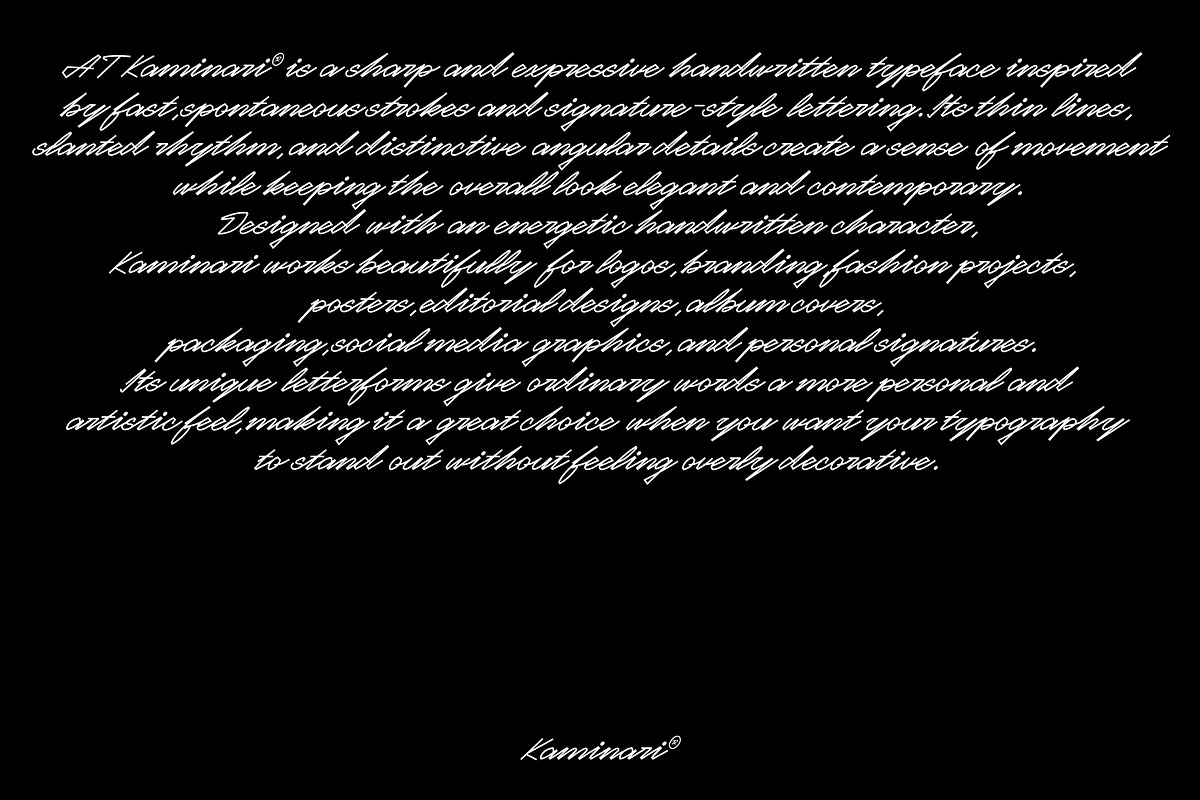 AT Kaminari Script, a Script Font by Any-Type® Foundry (Photo 5 of 10)