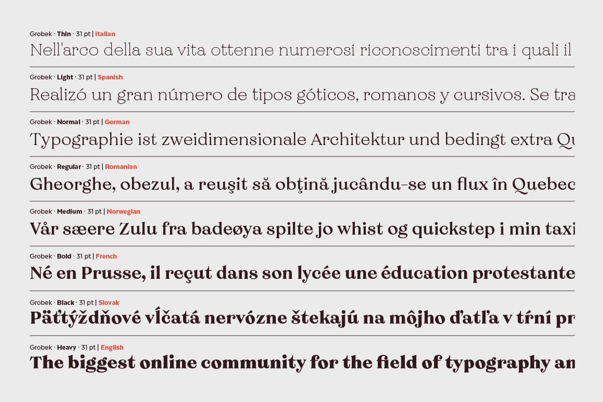 Grobek, a Serif Font by Latinotype (Photo 9 of 15)