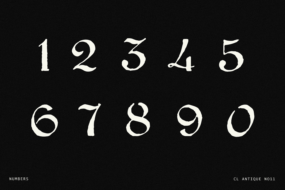 Elegant Vintage Calligraphy Font, a Script Font by Century Library (Photo 5 of 7)
