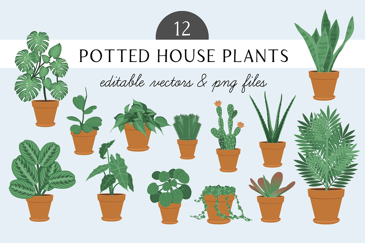 Potted House Plants Vector Clipart, an Illustration by Putnam Road Art (Photo 1 of 3)