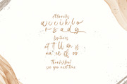 Astria - Handwritten Font, a Script Font by StringLabs (Thumbnail 9 of 9)
