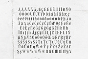 Author's Special Serif (04 fonts), a Serif Font by Positive TypeFoundry (Thumbnail 11 of 14)