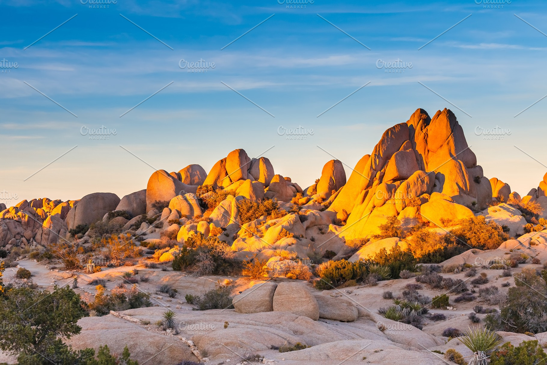 Joshua tree national park containing mojave, desert, and california, a Nature Photo by sborisov