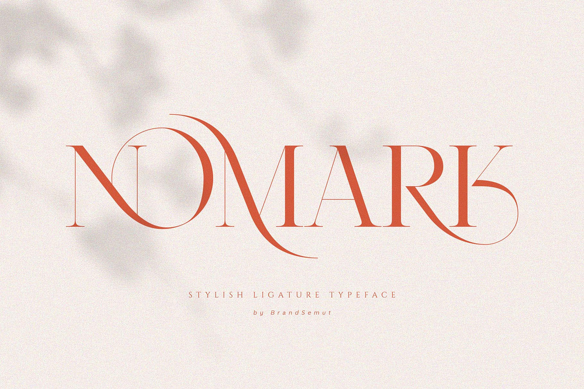 Ligature Font BUNDLE, a Serif Font by BrandSemut (Photo 39 of 70)