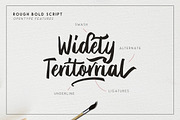 Briberra - Rough Bold Script, a Script Font by Sarid Ezra (Thumbnail 3 of 9)