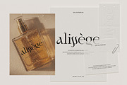 Bellrose Display Serif Font, a Serif Font by CarmineType (Thumbnail 15 of 24)
