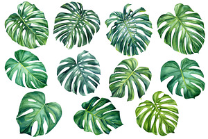 Tropical Green Plants Watercolor