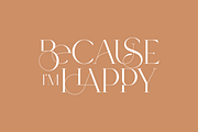 SALE! Type Maestro -  serif font, a Serif Font by VP Fonts (Thumbnail 22 of 25)