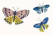 Butterfly Clipart Set, an Animal Illustration by Anna Ivanir (Thumbnail 5 of 5)