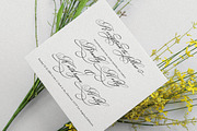 Lamborghini Script, a Script Font by Has_rizal (Thumbnail 10 of 13)