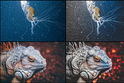 7000+ Professional Lightroom Presets, a Layer Style Add-On by Eldamar Studio (Thumbnail 26 of 33)