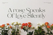 Beauty Rovesa Elegant Display Serif, a Serif Font by BrandSemut (Thumbnail 4 of 15)