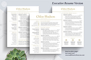 Best Resume CV Template Design, a Resume Template by The Art of Resume (Thumbnail 4 of 8)