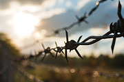 Barbed wire - 55 images, a Background Photo by Handmadefont (Thumbnail 14 of 15)