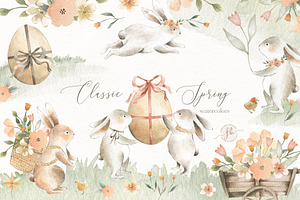 Classic Spring
