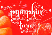Hannah Script, a Script Font by Gatype (Thumbnail 5 of 5)
