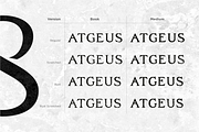 Zachar, a Serif Font by Rosario Nocera (Thumbnail 2 of 12)