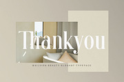 Mailvien - Modern Ligature Typeface, a Serif Font by BrandSemut (Thumbnail 10 of 10)