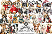Watercolor Winter Puppy Clipart, an Illustration by DreamArtGraphic (Thumbnail 1 of 4)