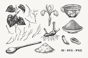 Medicinal Roots Illustrations Set, a Healthcare Illustration by Yevheniia (Thumbnail 6 of 12)