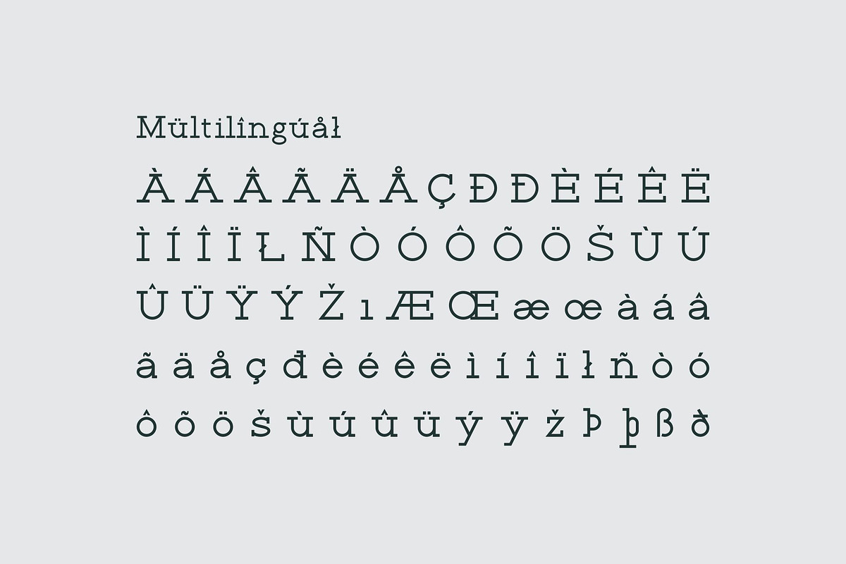 Rante Contact, a Slab Serif Font by takoliko (Photo 12 of 12)