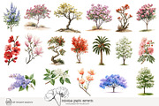 100 watercolor floral trees clip art, a Seasonal Illustration by Poppy Lane Studio (Thumbnail 2 of 12)