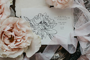 BUNDLE. Line art floral set, an Object Graphic by Vera●Suleimanova (Thumbnail 5 of 13)