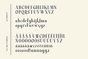 Average - Modern Serif Typeface, a Serif Font by Dharmas Foundry (Thumbnail 14 of 15)